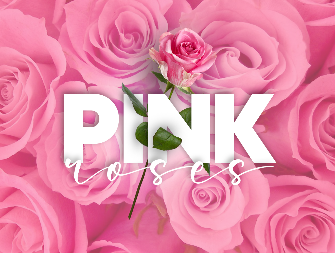 Pink Roses