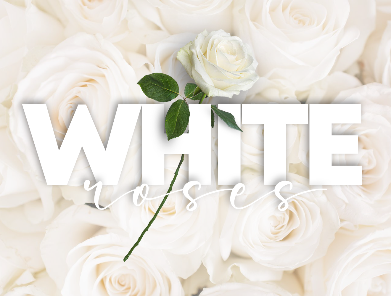 White Roses
