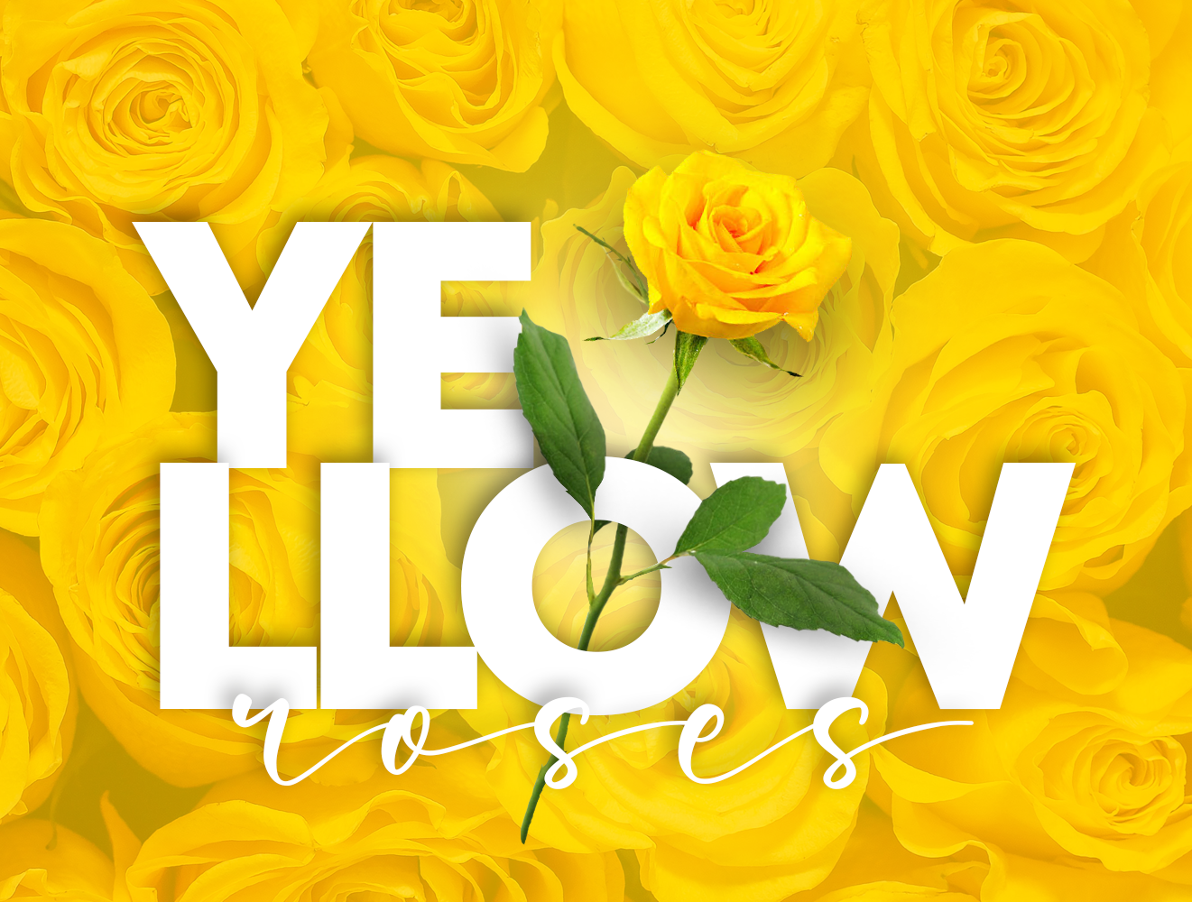 Yellow Roses