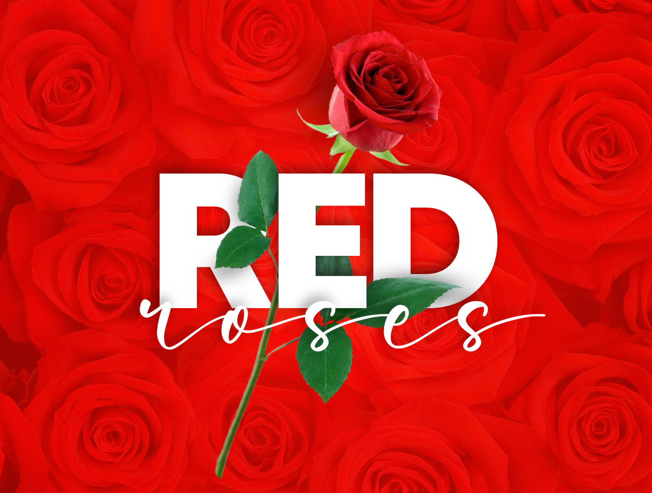 Red Roses