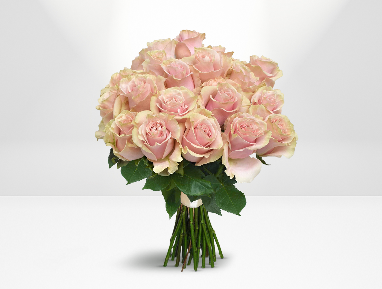 Pink Mondial