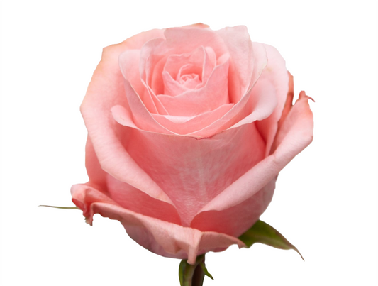 Be Sweet